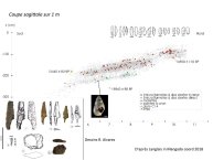 Langlais-Petillon-DerniereGlaciation-08.jpg