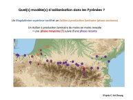 Langlais-Petillon-DerniereGlaciation-21.jpg