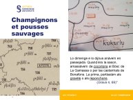 Couffignal-Boudou-12.JPG