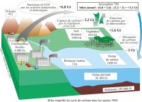 cycle-carbone