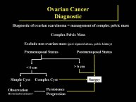 Diapositive4.jpg
