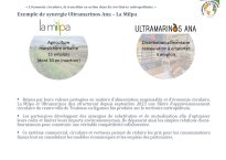 Diapo 21 Exemple de synergie Ultramarinos Ana – La Milpa (1)