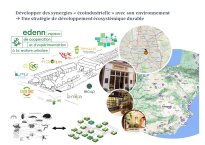 Diapo 24 Développer des synergies « écoindustrielle » avec son environnement : Une stratégie de développement écosystémique durable