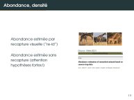 Diapo 17