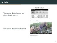 Diapo 18