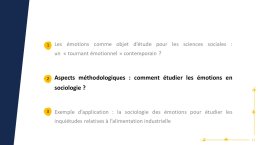 Aspects méthodologiques : comment étudier les émotions en sociologie ? 