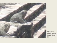 Diapo 26 Altar de las ranas, Templo Mayor, photo JC