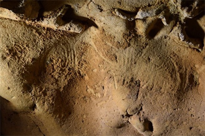 grotte de la Roche-Cotard (Indre-et-Loire)