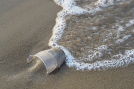 Verre en plastique