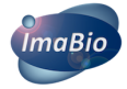 Logo ImaBio