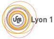 Logo Université Lyon 1- ICAP