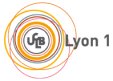 Logo Université Lyon 1- ICAP