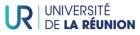 Logo Université de La Réunion