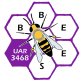 logo bbees