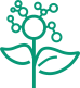 logo Printemps de la donnée