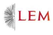 Logo LEM