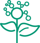 logo Printemps de la donnée