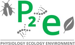 logo P2E