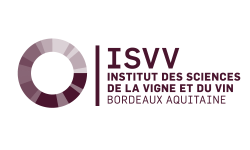 logo ISVV