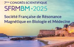logo SFRMBM