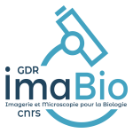Microscopie pour la Biologie