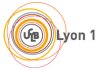 Logo Université Lyon 1- ICAP