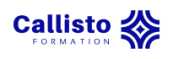 Logo Callisto Formation