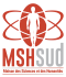 logo 2025 msh sud