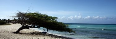 Plage Antilles