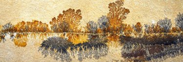 fossile