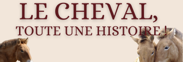 vivecologique
