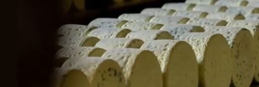Meules de Roquefort