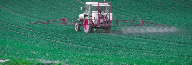 pesticide