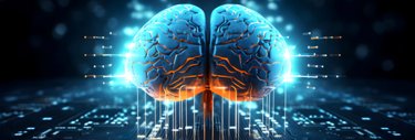 Illustration représentant un cerveau
