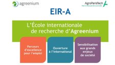Séminaire EIR-A