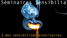 Séminaire 3 Sensibilités minoritaires