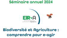 Séminaire EIR-A 2024